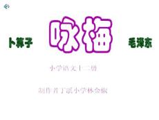 林金椒课件《卜算子·咏梅》课堂演示
