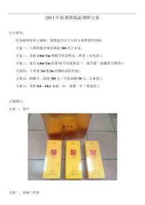 2013年防暑降溫品方案