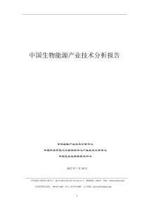 中科戰略：生物能源產業技術分析報告（精簡版）