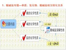 专题复习19单质、氧化物、酸碱盐相互转化关系