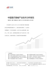 中科戰略：中國醫療器械產業技術分析報告（精簡版）