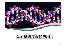 【高中生物选修】13 基因工程的应用