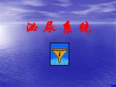 愛愛醫(yī)資源-011泌尿系統(tǒng)_人體解剖學(xué)教學(xué)PPT課件