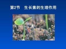 3.2生長素的生理作用