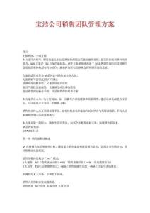 宝洁公司销售团队管理方案