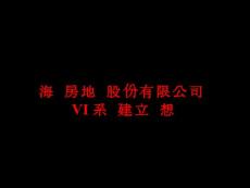 海開地產(chǎn)Vi提案