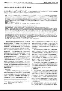 普通小麦胚芽鞘分蘖的生长发育研究