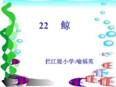 鲸2[小学语文课件 PPT课件 教学课件]