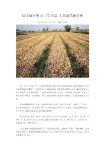 浙江紹興現44.1℃高溫 大量蔬菜被烤焦