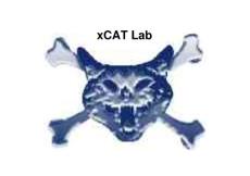 xcat lab2