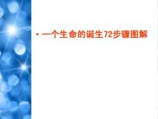 震撼!一个生命的诞生72步骤图解(1)