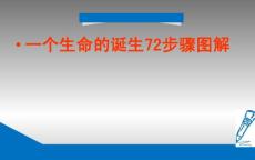 震撼!一个生命的诞生72步骤图解