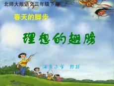 理想的翅膀(張?jiān)虑?#41;