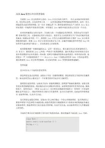 淺談Java模型以外的類型策略