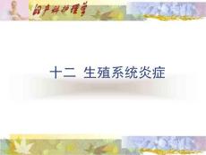 重慶科創(chuàng)職業(yè)學(xué)院生殖系統(tǒng)炎癥11