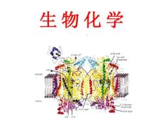 北京大学生物化学课件01