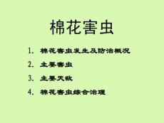 棉花害虫-1概况