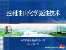 勝利油田化學(xué)驅(qū)油技術(shù)-第四屆全國油氣田開發(fā)技術(shù)大會