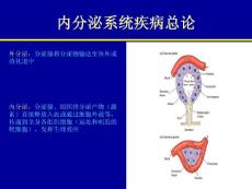 总论 腺垂体功能减退 单纯性甲状腺肿大