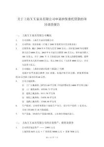 公司申请担保委托贷款的项目调查报告