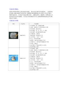 隧道诱导灯资料