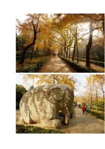 2013年梅花山的秋景1