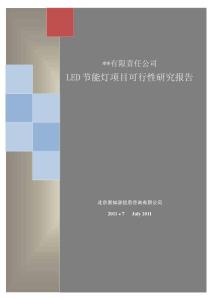 LED節(jié)能燈可行性研究報(bào)告
