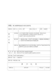 课题:钠与硫酸铜溶液反应的实验探究