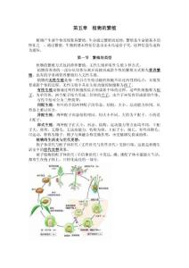 第五章 植物的繁殖