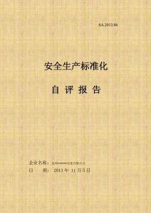 企業安全標準化自評報告(冶金工貿企業)