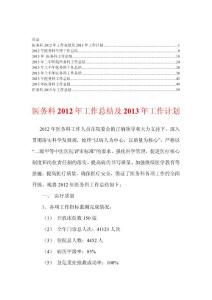2013年医务科工作总结