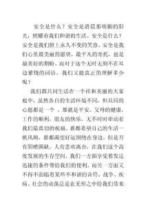 安全演讲