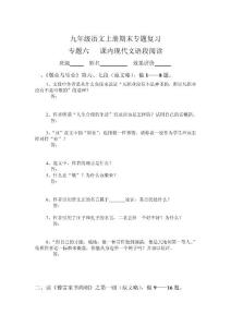 九年级语文上册期末专题复习(6)