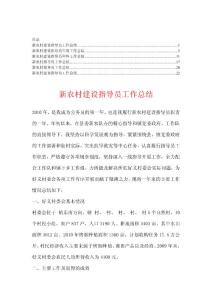 农村指导员工作总结【精华100篇】2