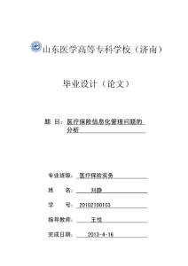 医疗保险信息化管理问题的分析