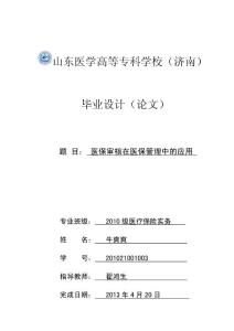 医保审核在医保管理中的应用