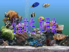 3.1氧氣的性質和用途