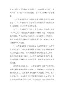 一人有限责任公司怎样纳税