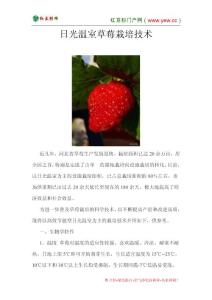 日光温室草莓栽培技术