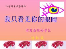 我只看見你的眼睛