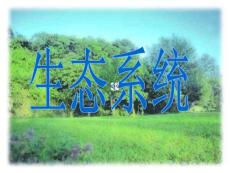 8e83a725-19d5-4842-95a4-76ac8c13f606_生态系统公开课