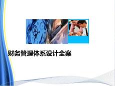 《财务管理体系设计全案》