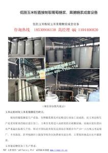 低脂玉米粉直接制取葡萄糖漿