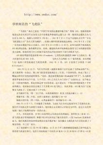 舉世聞名的飛虎隊~[doc]-下載