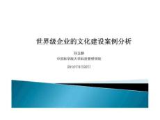 世界级企业的文化建设案例分析