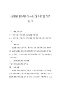 信用社联网核查公民身份信息自查报告