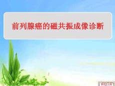 前列腺癌课件