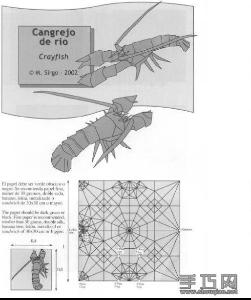 折纸龙虾