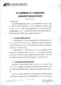 600599 _ 熊貓煙花：關于對公司2013年度財務報表發表非標審計意見的專項說明