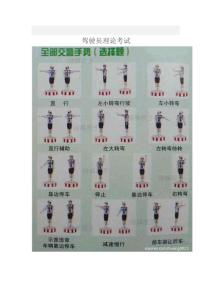 駕駛員理論考試